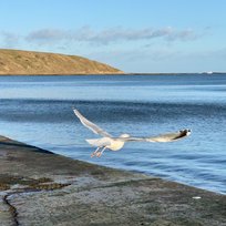 Filey