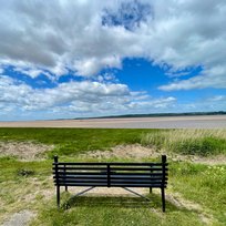 Far Ings Nature Reserve, Humber, Humber Bridge, Old Tile Works, Walk