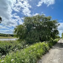 Far Ings Nature Reserve, Humber, Humber Bridge, Old Tile Works, Walk