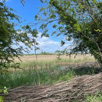 Far Ings Nature Reserve, Humber, Humber Bridge, Old Tile Works, Walk