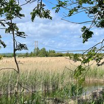 Far Ings Nature Reserve, Humber, Humber Bridge, Old Tile Works, Walk