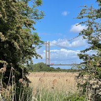 Far Ings Nature Reserve, Humber, Humber Bridge, Old Tile Works, Walk