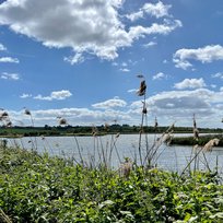 Far Ings Nature Reserve, Humber, Humber Bridge, Old Tile Works, Walk