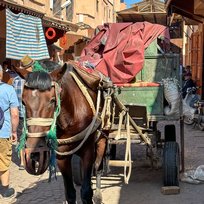 MAD, Market, Marrakesh, Morocco