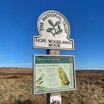 B29 Crash Site, Peak District, Tara