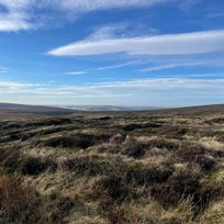 B29 Crash Site, Peak District, Tara