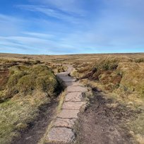 B29 Crash Site, Peak District, Tara