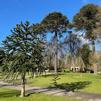 Bridlington, Jan, Sewerby Hall Garden