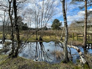 SkipwithCommon