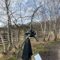 Skipwith Common