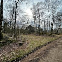 Skipwith Common