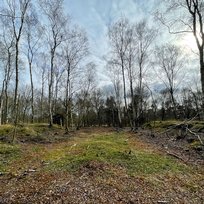 Skipwith Common