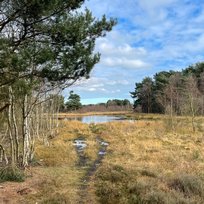 Skipwith Common