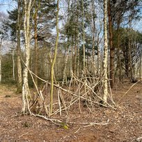 Skipwith Common