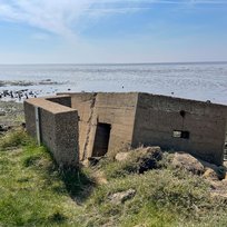 Nature Reserve, Spurn Point