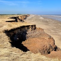 Nature Reserve, Spurn Point