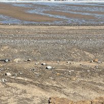 Nature Reserve, Spurn Point