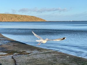 Filey