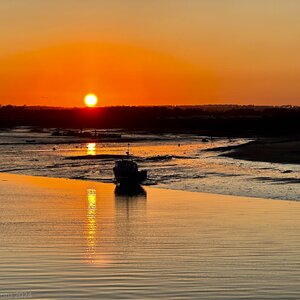 Amble