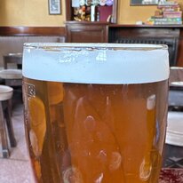 Beer, Half Moon, Pub, Swan