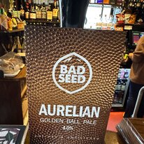 Aurelian, Bad Seed, Beer, Golden Ball, Pub