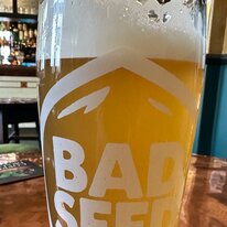 Aurelian, Bad Seed, Beer, Golden Ball, Pub
