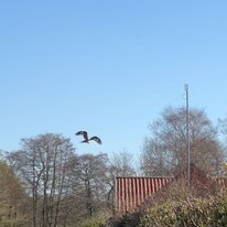 4Apr23, Around Home, Cycling, Millington Pastures