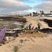 Fuertaventura