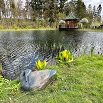 Birthday, HimalayanGarden, Ians 60th