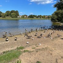 Hornsea, Mere