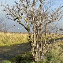 Hull, Humber, Walk