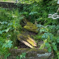 Rudston Monolith & All Saints Church