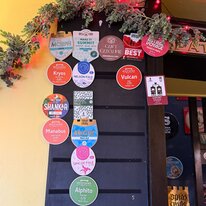 Beer, Chequers Micropub, Pub