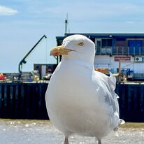 Bridlington