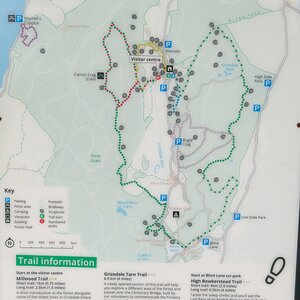 Grizedale Forest
