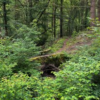 IMG_1428_sRGB