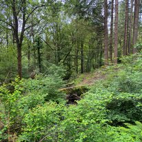 IMG_1429_sRGB
