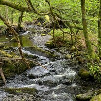 IMG_1430_sRGB