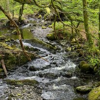 IMG_1431_sRGB