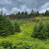 IMG_1435_sRGB