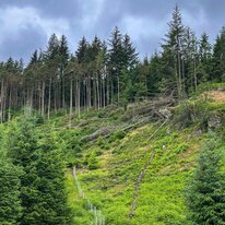 IMG_1436_sRGB