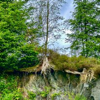 IMG_1438_sRGB