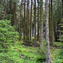 IMG_1441_sRGB