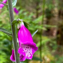IMG_1450_sRGB