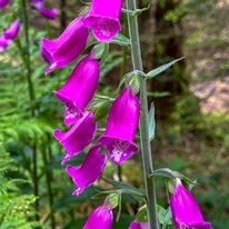 IMG_1451_sRGB