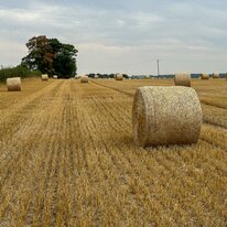 28Aug2024, Cycling