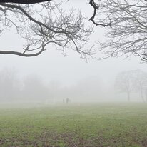 Hall Garth Park, Hornsea