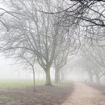 Hall Garth Park, Hornsea
