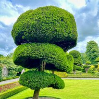 IMG_1145_sRGB