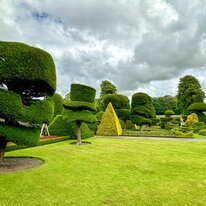 IMG_1146_sRGB